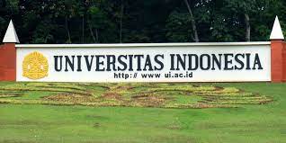 Universitas Indonesia, Jurusan UI
