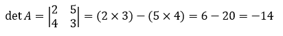 determinan matriks 2x2