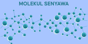 molekul senyawa