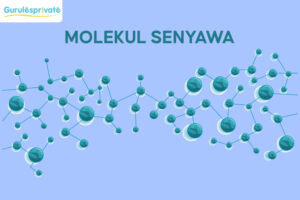 molekul senyawa