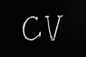 contoh Curiculum Vitae