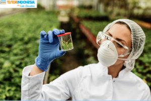cover artikel tentang bioteknologi dari tutorindonesia.co.id, melayani harga guru privat ke rumah, les privat bekasi, jasa les privat, biaya les sd per bulan, biaya les privat sd, biaya les privat per bulan, biaya les privat jakarta, biaya les privat per hari, biaya les privat, harga les privat, biaya les rumahan, biaya les privat untuk anak tk, Les Privat TK, guru privat bahasa inggris, tutor privat