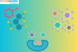 Definisi Enzim Bagi Tubuh dan Perannya