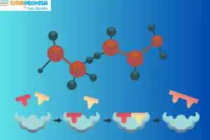 Definisi Enzim Bagi Tubuh dan Perannya