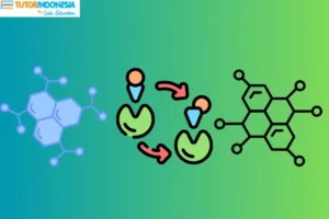 Definisi Enzim Bagi Tubuh dan Perannya